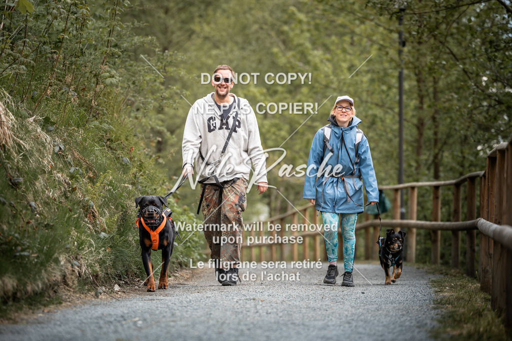 nelerasche_SaAbends_30 | nelerasche