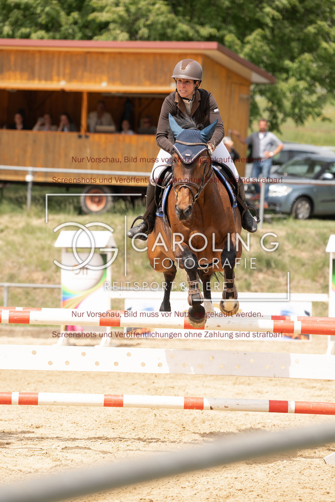 DSC06772 | Springturnier_Ehingen_Mai_2026, Sonja_Häuselmann, Riscadia