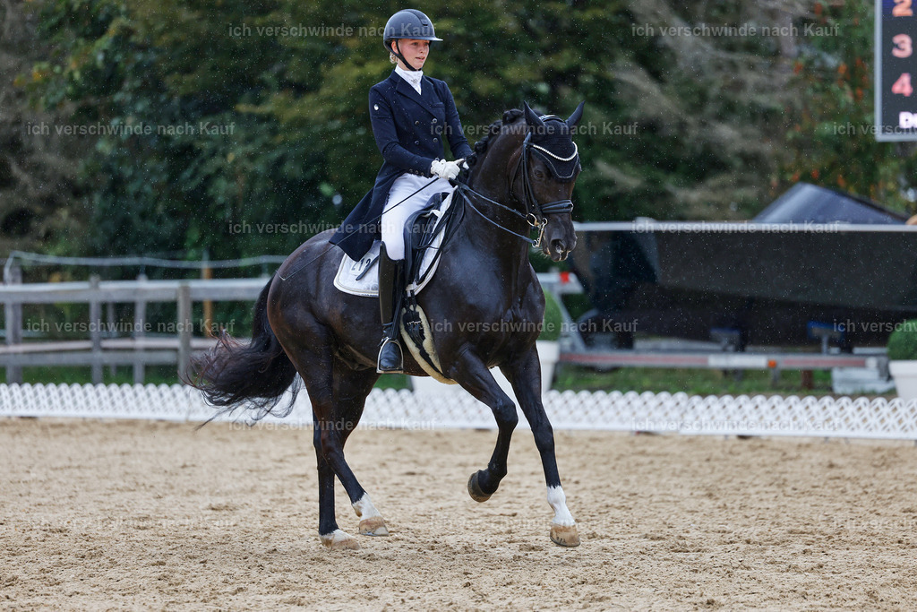 8_1-212-Klasse S_  -StoibPH-3926 | working equitationturnier fotograf videograf stoibphotography marixx film working equitation deutschland reitsport turnierfotografie eventfotografie equestrian events