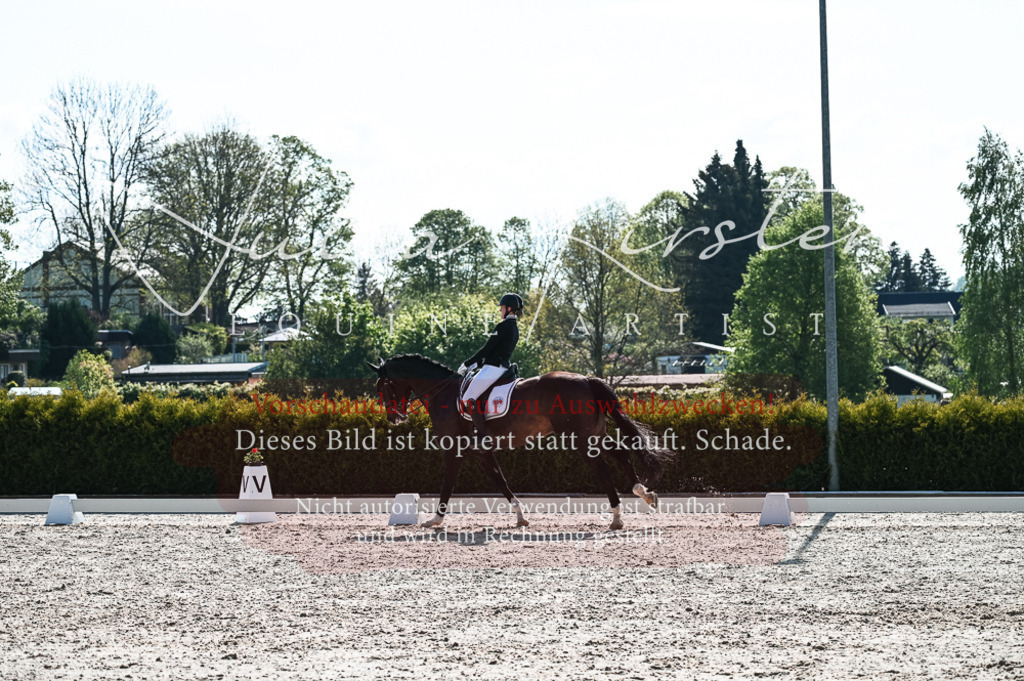 20230514_JK-Röhrsdorf-18-408 | Pferde- und Turnierfotografie in Westsachsen. Pferdeportraits, Auftragszeichnungen und intuitive Kunst.
