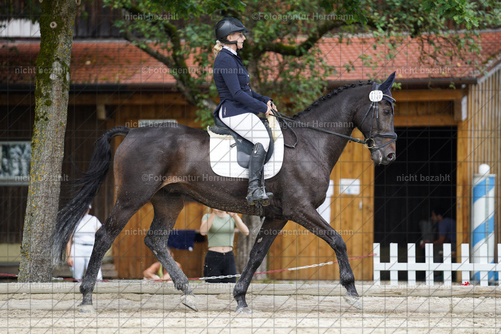 20230826-FAH05628 | Forstinning, 2023, Dressurturnier, Turniersportbilder, Turnierfotografen Bayern, Fotoagentur Herrmann, Reitsportfotografie, Turnierbilder