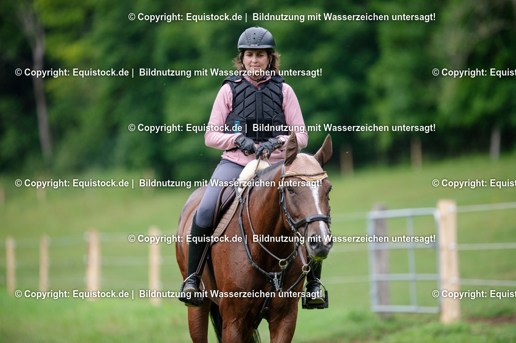 20250725_Vielseitigkeitslehrgang-Marbach_0408 | Foto: Thomas Hartig