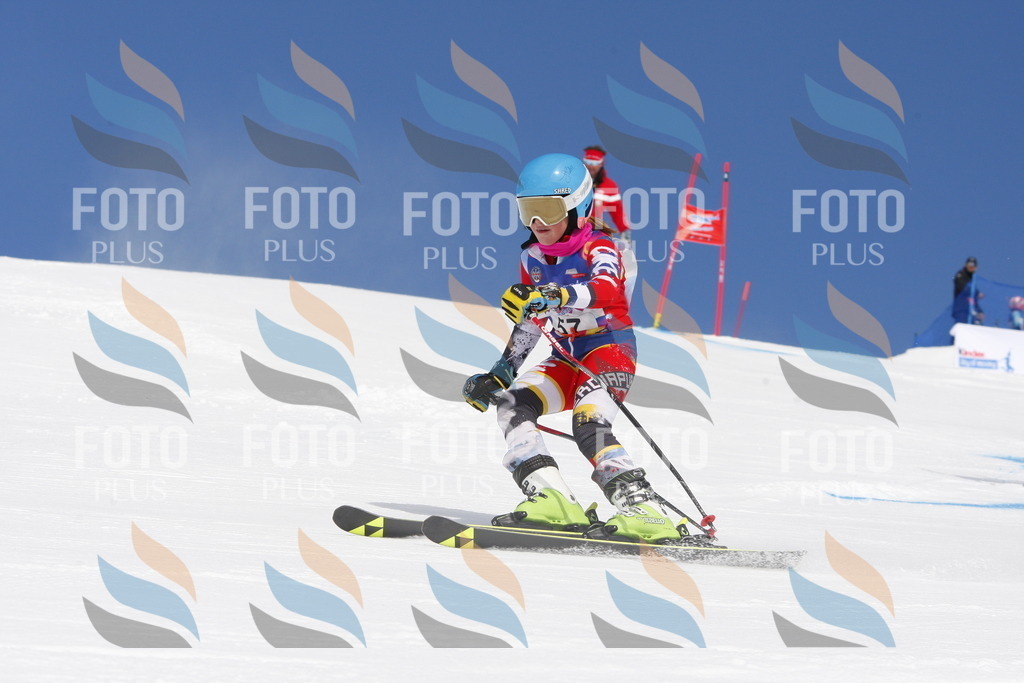 _W1G0840 | holidayphoto