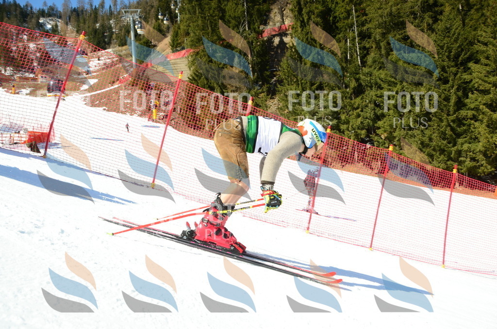 C6899 | holidayphoto