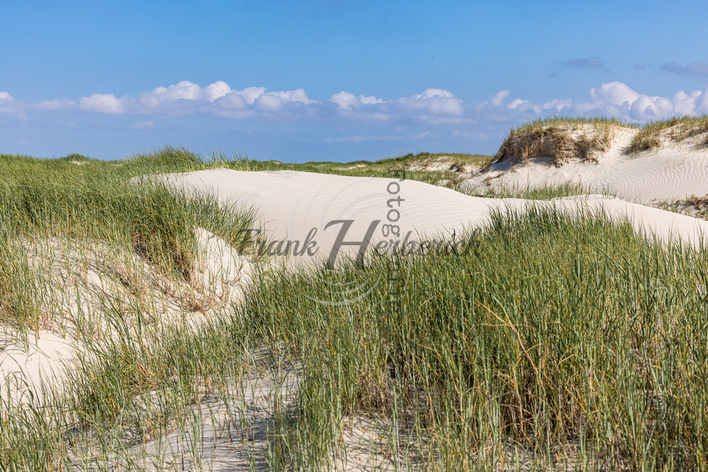 St. Peter Ording | St. Peter Ording - Realisiert mit Pictrs.com