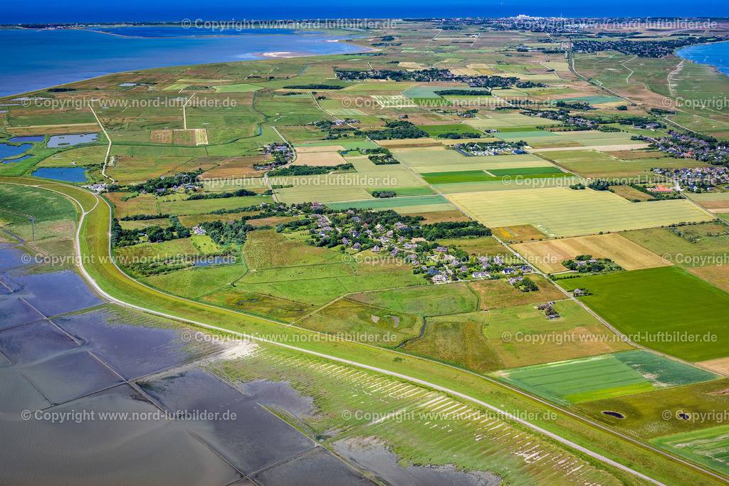 Sylt_Osterende_ELS_3886210625 | SYLT 21.06.2025 Ortskern und Orts- Zentrum an der Meeres- Küste der Nordsee auf der Insel Sylt in Morsum-Osterende im Bundesland Schleswig-Holstein, Deutschland. // Center on the seacoast of North Sea on Sylt Island in Morsum-Osterende in the state Schleswig-Holstein. Foto: Martin Elsen