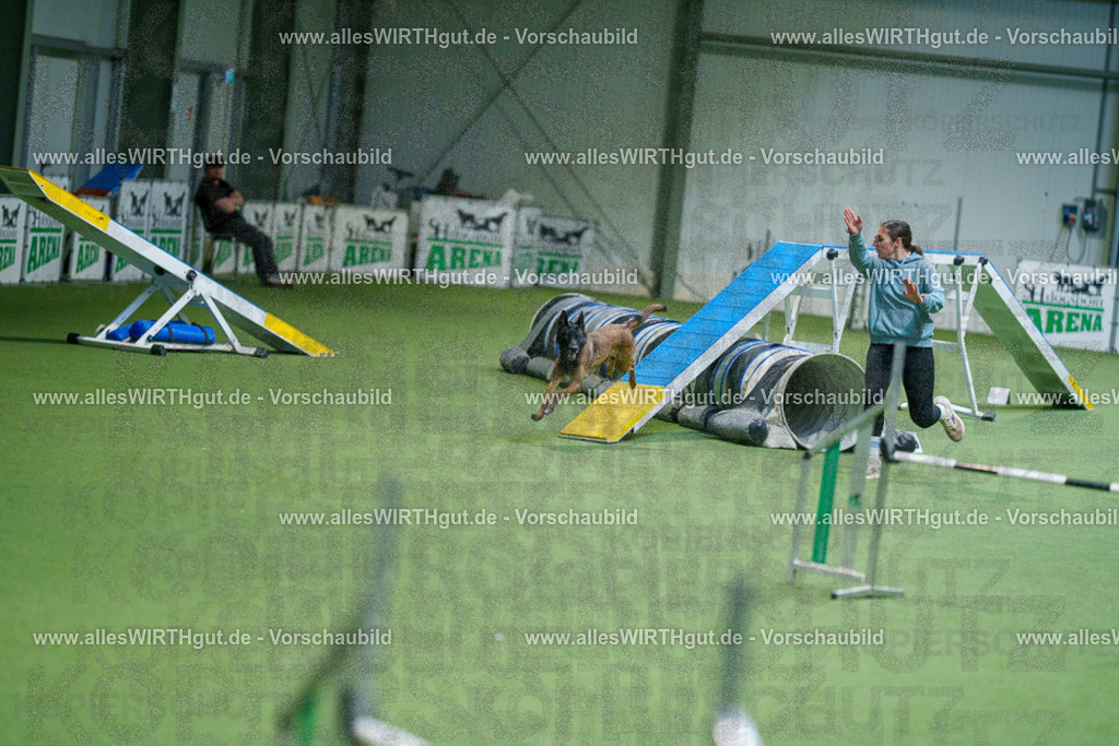 @allesWIRTHgut_Tierfotografie - www.allesWIRTHgut.de - 2604250826-7R506582 | Professionelle Tierfotografie in Mönchengladbach von Daniel Wirth (allesWIRTHgut). Liebevolle & natürliche Bilder von Hunden & Katzen für unvergessliche Erinnerungen.