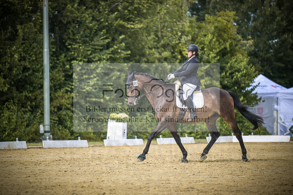 DOS_6965 | Entdecke hochwertige Reitturnierfotos von Foto Oger. Professionell, emotional und authentisch – jetzt Lieblingsmomente im Shop bestellen.Deutschlandweite Turnierfotografie. - Realisiert mit Pictrs.com