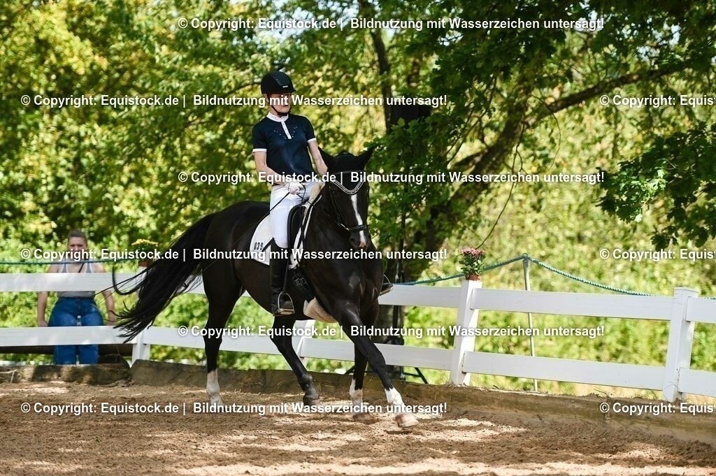 20230715_02_Dressurreiterprüfung Kl.L_0345 | equistock