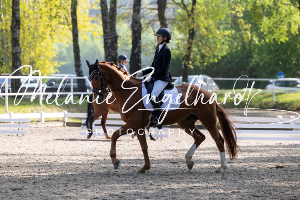 7I8A1528 | melanie-engelhardt-photography - Realisiert mit Pictrs.com