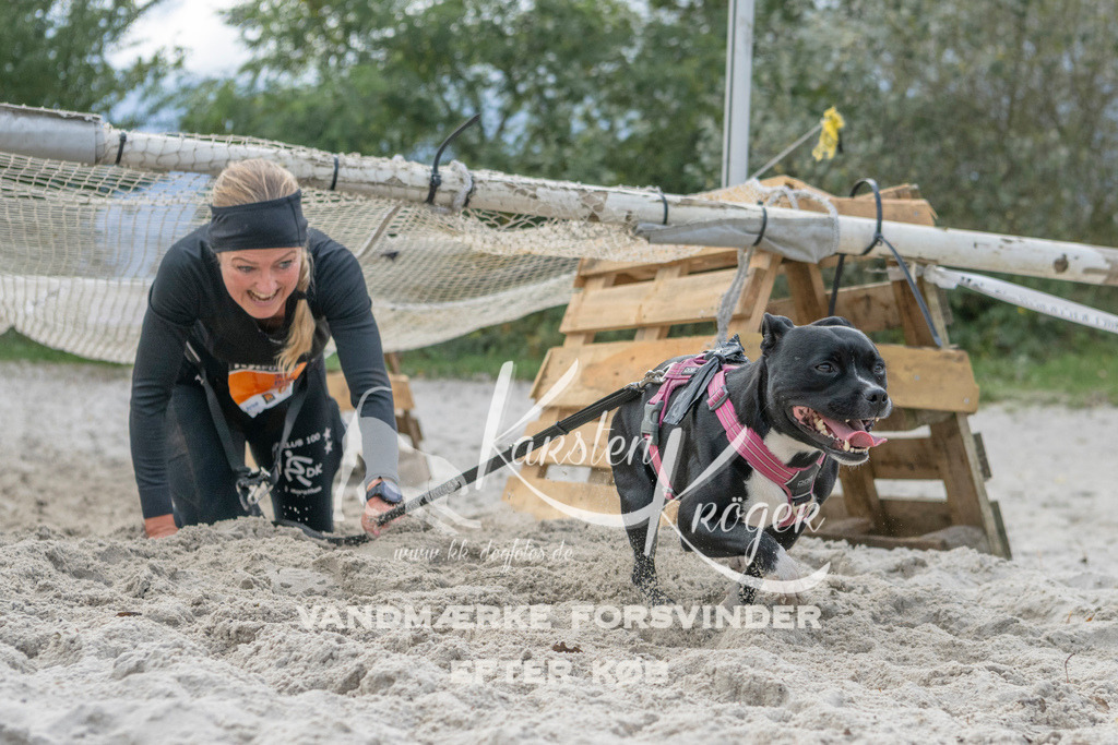 1135_ZZ97994 | kk-dogfotos