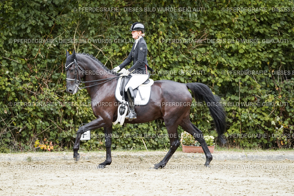 DSC01484 | Pferdegrafie