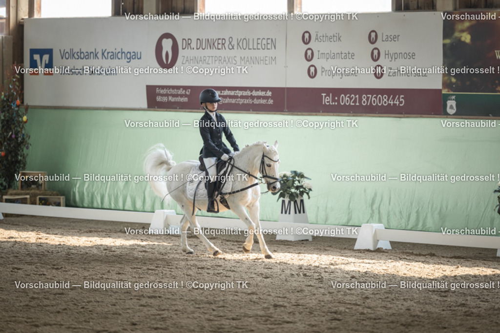 _D5A5675 | Emotionale Pferde- & People-Fotografie rund um Heidelberg, Leimen & Umgebung. Natürliche Fotos von Pferd, Mensch & Familie. Jetzt Termin sichern!