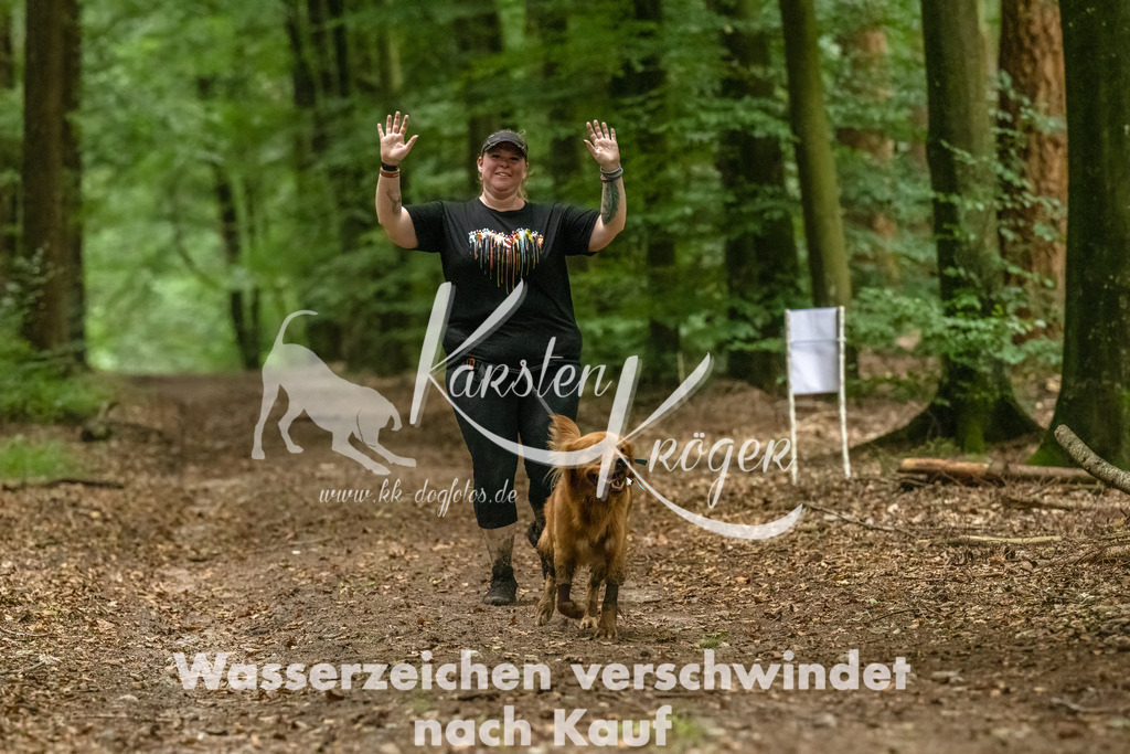 1227_ZZ91136-Bearbeitet-2 | kk-dogfotos
