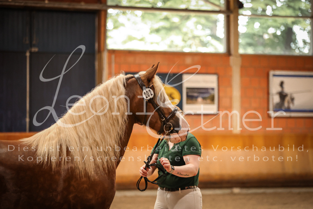 SaFL00449 | Leoni Ertmer Photography - Realisiert mit Pictrs.com