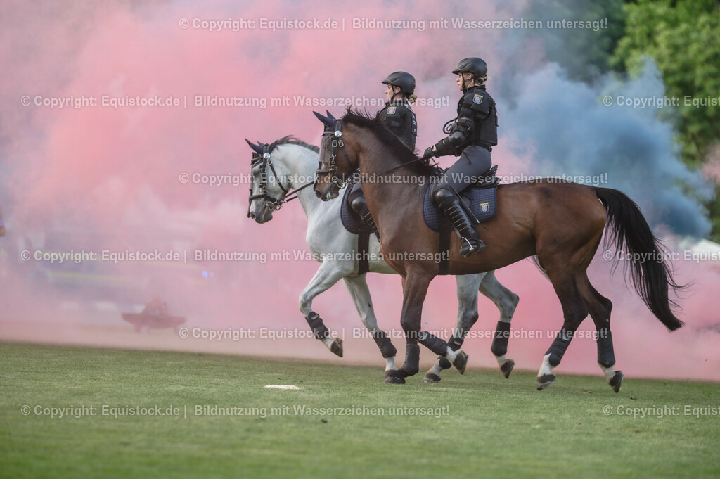 20230526_Pferdenacht_0394 | equistock