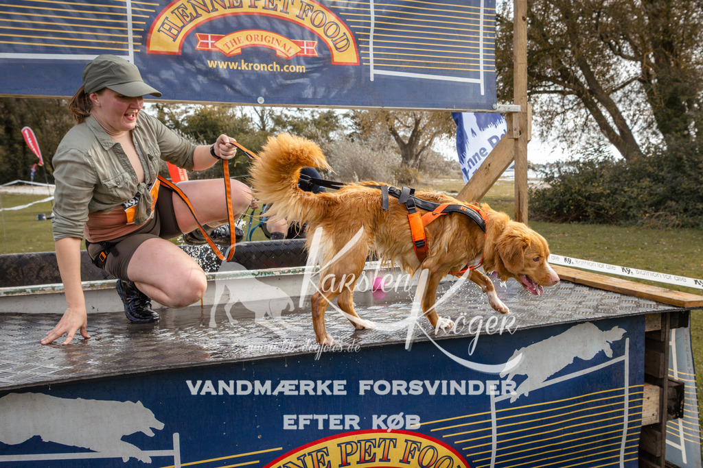 1358_ZZ93171-2 | kk-dogfotos