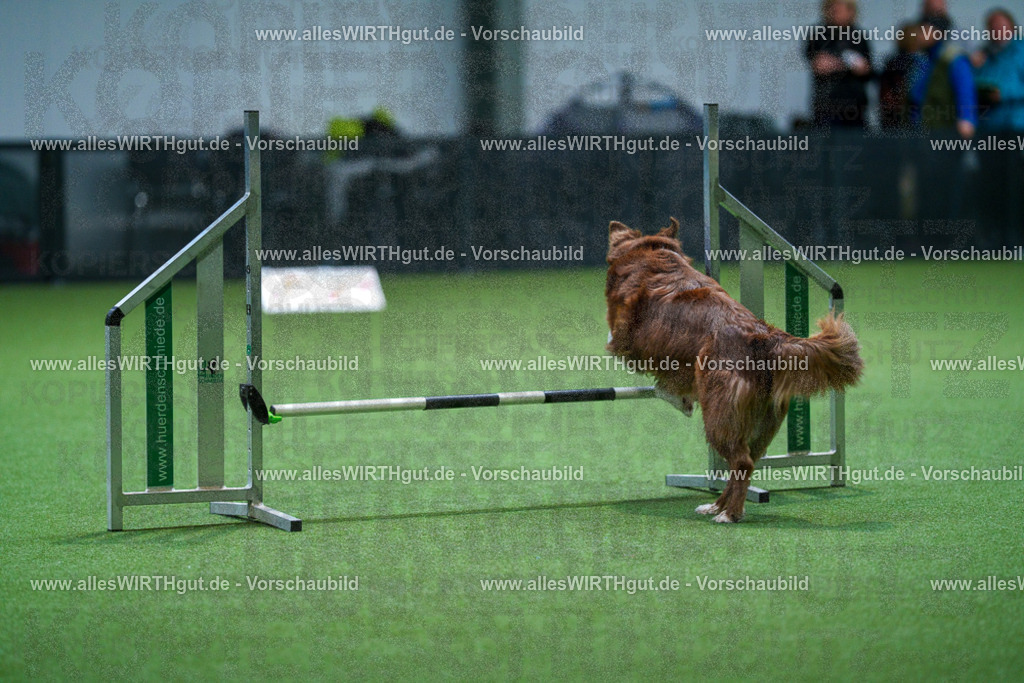 7R501685 | Professionelle Tierfotografie in Mönchengladbach von Daniel Wirth (allesWIRTHgut). Liebevolle & natürliche Bilder von Hunden & Katzen für unvergessliche Erinnerungen.