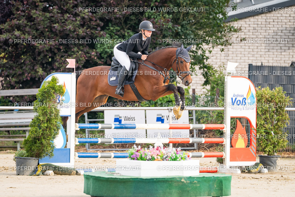 DSC07980 | Pferdegrafie