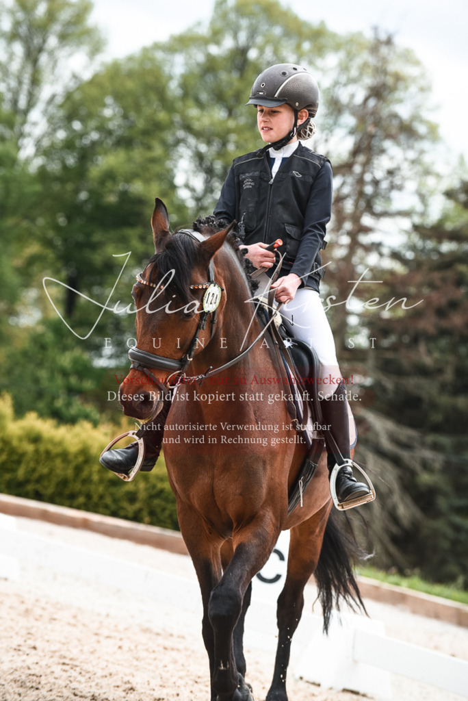 20230518_JK-Röhrsdorf-10-691 | Pferde- und Turnierfotografie in Westsachsen. Pferdeportraits, Auftragszeichnungen und intuitive Kunst.