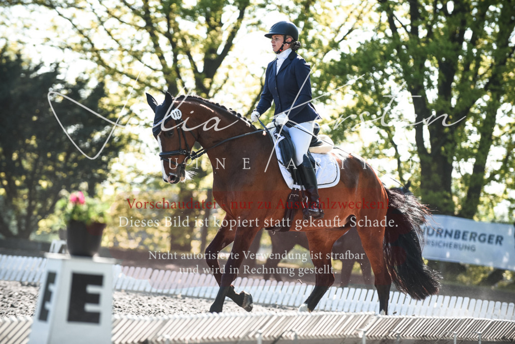 DSC_8550 | Pferde- und Turnierfotografie in Westsachsen. Pferdeportraits, Auftragszeichnungen und intuitive Kunst.