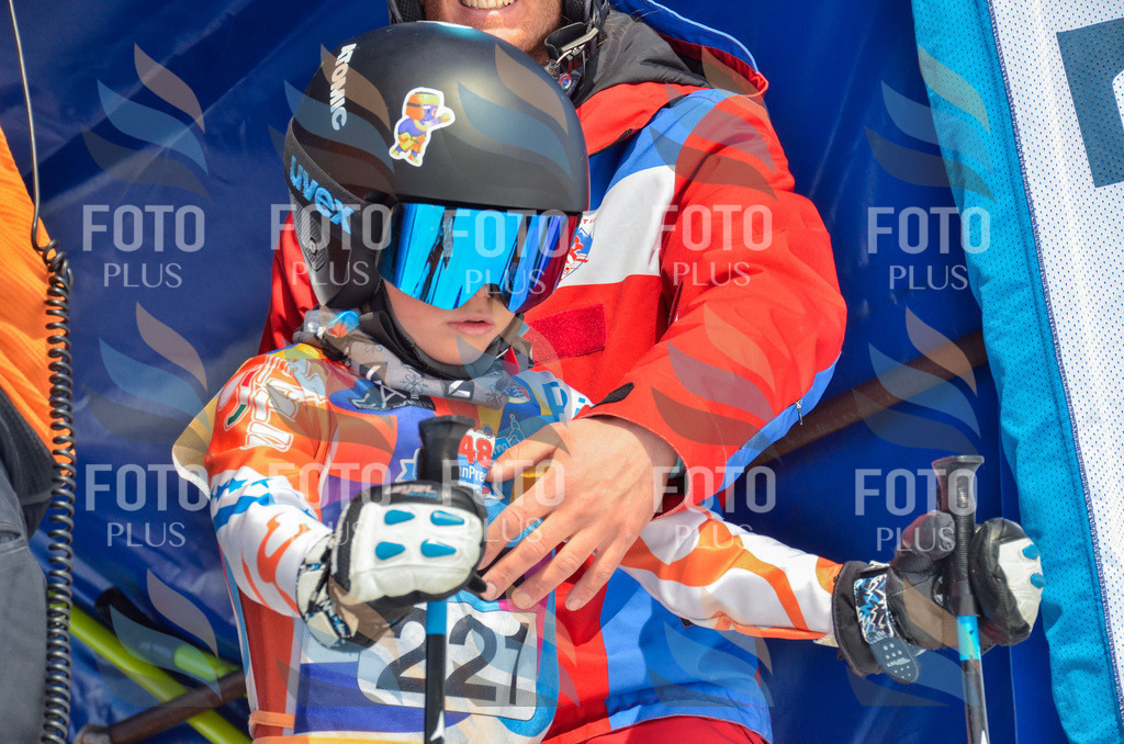 _ELE7181 | holidayphoto