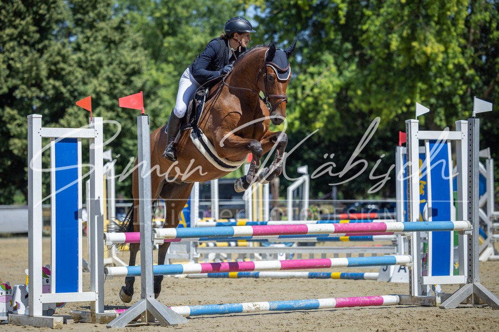 20260704-_3LI7807 | Tierfotografie Pferde, Hunde, Katzen, Haustiere.
Turnierfotografie Reitturniere, Reiten, Springreiten, Dressur in Hanau, dem Main-Kinzig-Kreis und dem Rhein-Main- Gebiet um Frankfurt