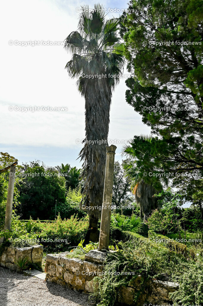 Arboretum von Trsteno_ Kroatien_ 11.10.2023-72 | 11.10.2023, Kroatien, HRV, Trsteno im Bild Arboretum, Trsteno, Hafen, Pflanzen, Brunnen, Neptunbrunnen, Wege, Palmen, Eukalyptus, Lorbeer, Kakteen, Zitrus, Oliven, Filmkulisse Game of Thrones

Das Arboretum von Trsteno befindet sich etwa 18 Kilometer nordwestlich der Stadt Dubrovnik im Sueden Kroatiens. Als einziges Arboretum an der oestlichen Adria-Kueste stellt es die aelteste Sammlung exotischer Baeume und Pflanzen des Landes dar.
Die Gartenanlage befindet sich entlang der Kuestenstraße zwischen den Ortschaften Orašac und Slano.
Quelle: Wikipedia