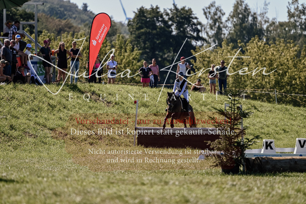 DSC_1296 | Pferde- und Turnierfotografie in Westsachsen. Pferdeportraits, Auftragszeichnungen und intuitive Kunst.