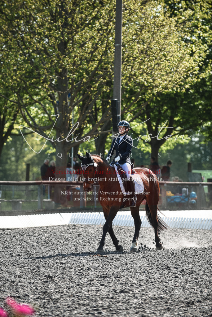 DSC_8875 | Pferde- und Turnierfotografie in Westsachsen. Pferdeportraits, Auftragszeichnungen und intuitive Kunst.