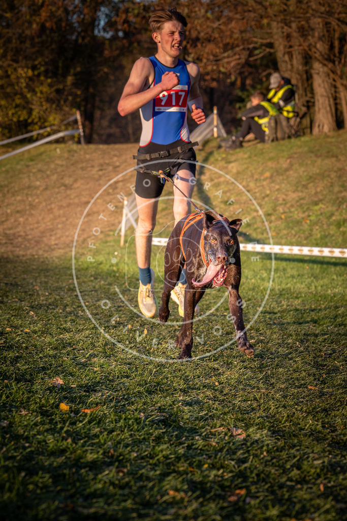 CaniXpix_0L8A1523 | Hundefotografie, Tierfotograf, Pfotenfotografie, Fotoshooting Hund, Hunde Portrait, Hundesport, Hundeportraits, Heideshooting, Hunde, Sportfotograf, Hundefotograf, Turnierhundsport, THS,  - Realisiert mit Pictrs.com