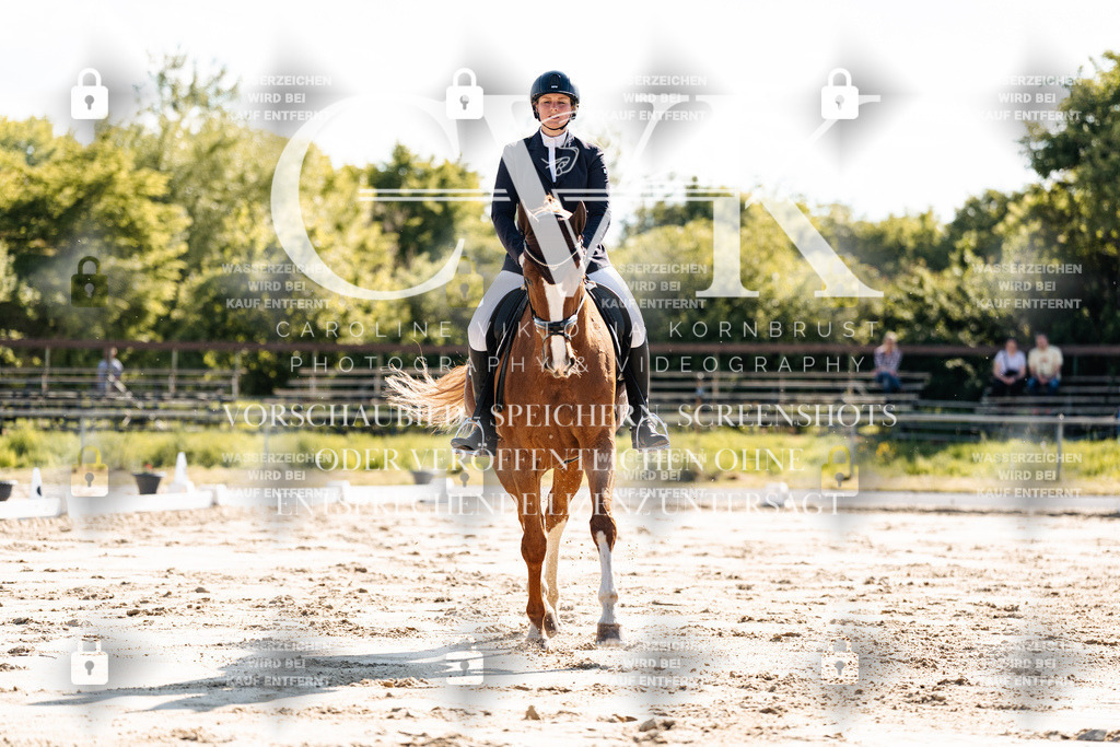 CK909324 | Turnierfotografie Pferdefotografie Trier Rheinland-Pfalz Pferdesport Reitsport Tierfotografie Sportfotografie Pferdevideo Pferdevideografie Equestrianvideography equestrianphotography  - Realisiert mit Pictrs.com