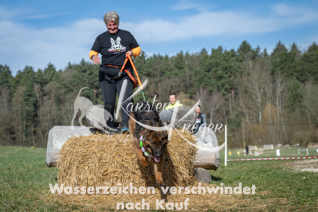 0940_ZZ95041 | kk-dogfotos