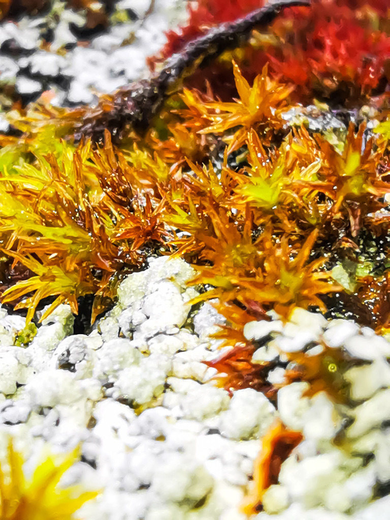 PSX_20230312_235947 | mtkfoto_ - Realisiert mit Pictrs.com