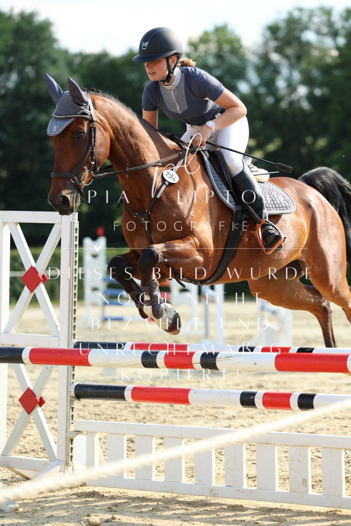 IMGM7596 | pl-fotografie