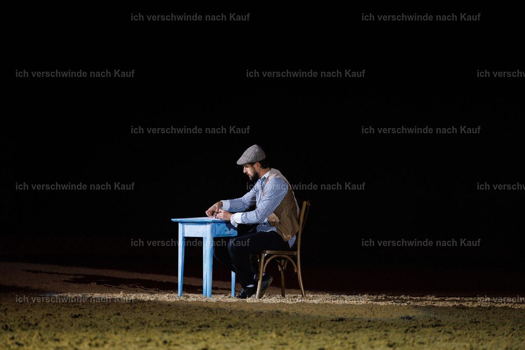 FHClassics-190 | working equitationturnier fotograf videograf stoibphotography marixx film working equitation deutschland reitsport turnierfotografie eventfotografie equestrian events