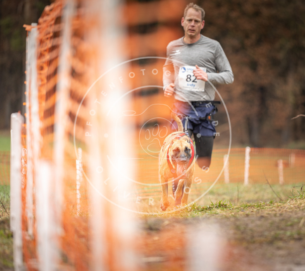 DV3A0346 | Hundefotografie, Tierfotograf, Pfotenfotografie, Fotoshooting Hund, Hunde Portrait, Hundesport, Hundeportraits, Heideshooting, Hunde, Sportfotograf, Hundefotograf, Turnierhundsport, THS,  - Realisiert mit Pictrs.com