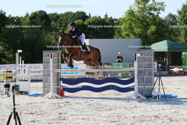 OHT 2022 Röhlingen (106) | Fotografie, Tiere, Hunde, Katzen, Pferde, Sportfotografie, Fotosession, Tierfotografie, Turnierfotografie, Fotografin, Fotograf - Realisiert mit Pictrs.com