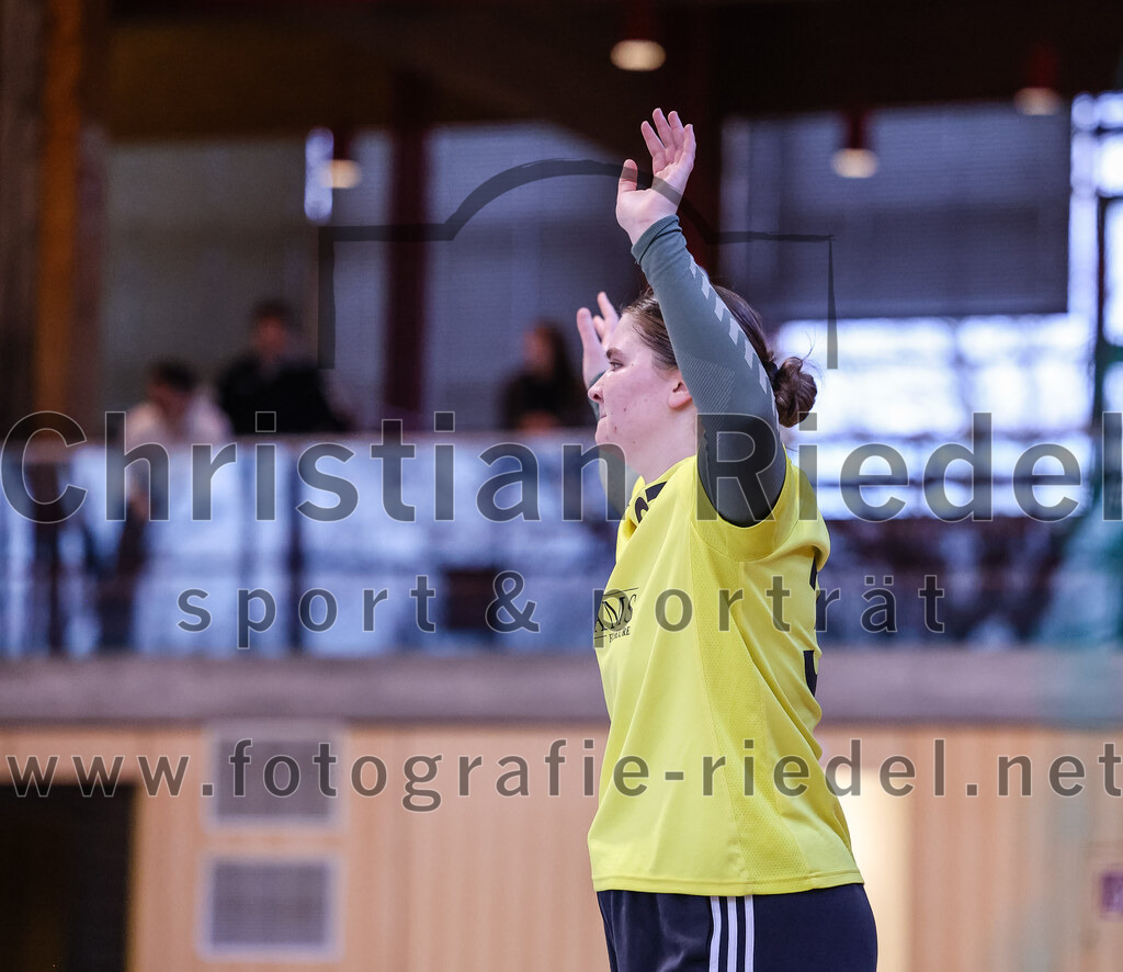 2024-12-14_039_SpVgg_Altenerding_gegen_SVA_Palzing | Erding, Deutschland, 14.12.2024:Handball, Bezirksoberliga Frauen Altbayern 2024 / 2024, 9. Spieltag, SpVgg Altenerding gegen SVA Palzing, Endergebnis: 20:30Torfrau Julia Zierer (SVA Palzing, #37)Foto: Christian Riedel / fotografie-riedel.net