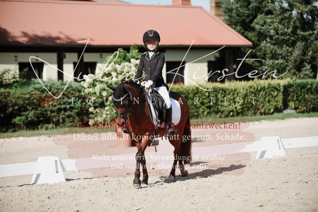DSC_0106 | Pferde- und Turnierfotografie in Westsachsen. Pferdeportraits, Auftragszeichnungen und intuitive Kunst.