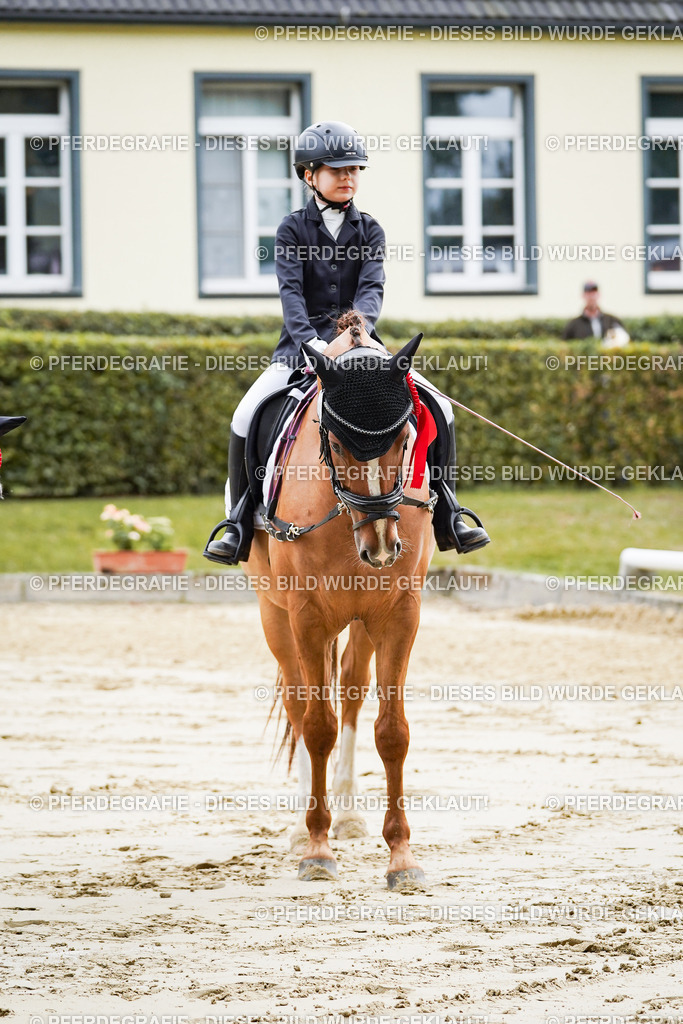 DSC05765 | Pferdegrafie