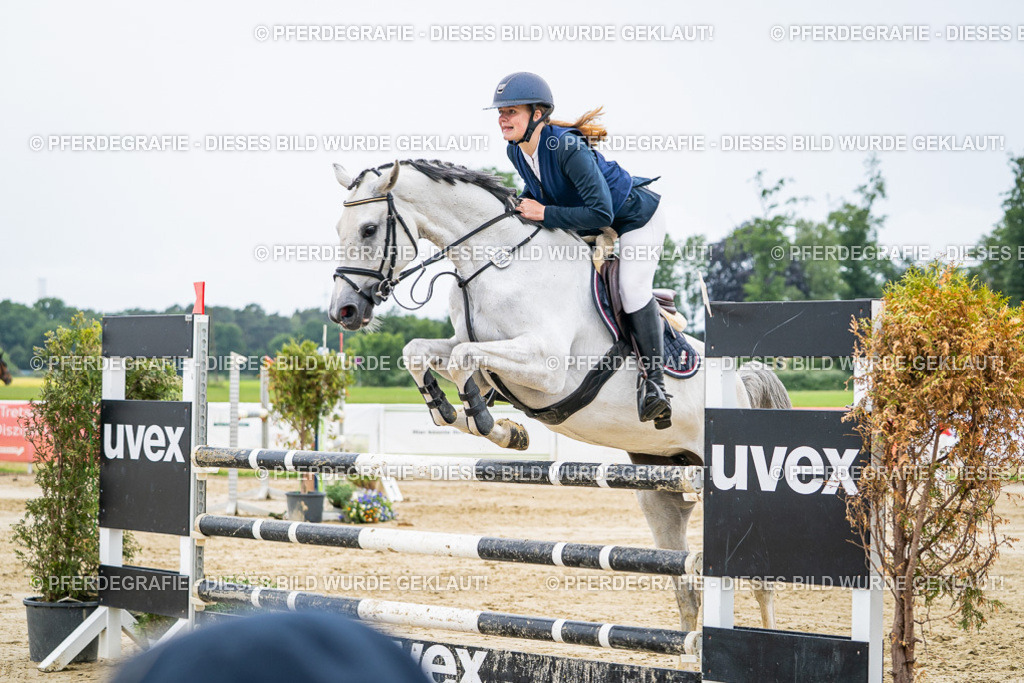 DSC02346 | Pferdegrafie