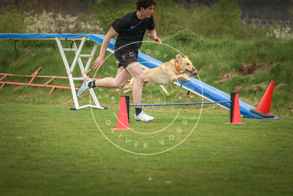 Pfotenfotografie_0L8A0863 | Hundefotografie, Tierfotograf, Pfotenfotografie, Fotoshooting Hund, Hunde Portrait, Hundesport, Hundeportraits, Heideshooting, Hunde, Sportfotograf, Hundefotograf, Turnierhundsport, THS,  - Realisiert mit Pictrs.com