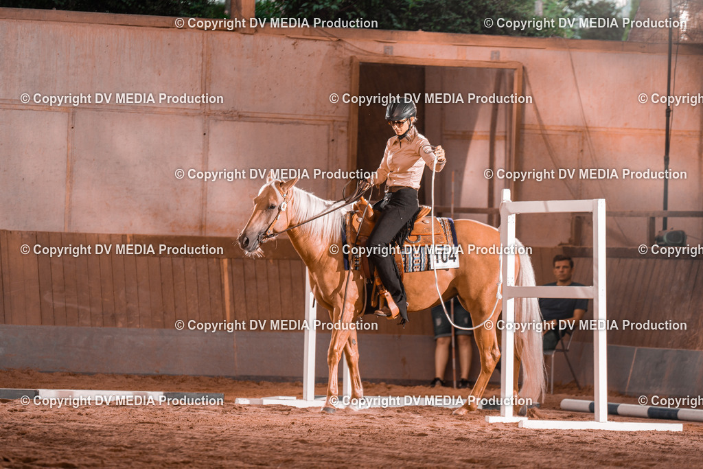 NE300019 | dv-media-shop - Realisiert mit Pictrs.com