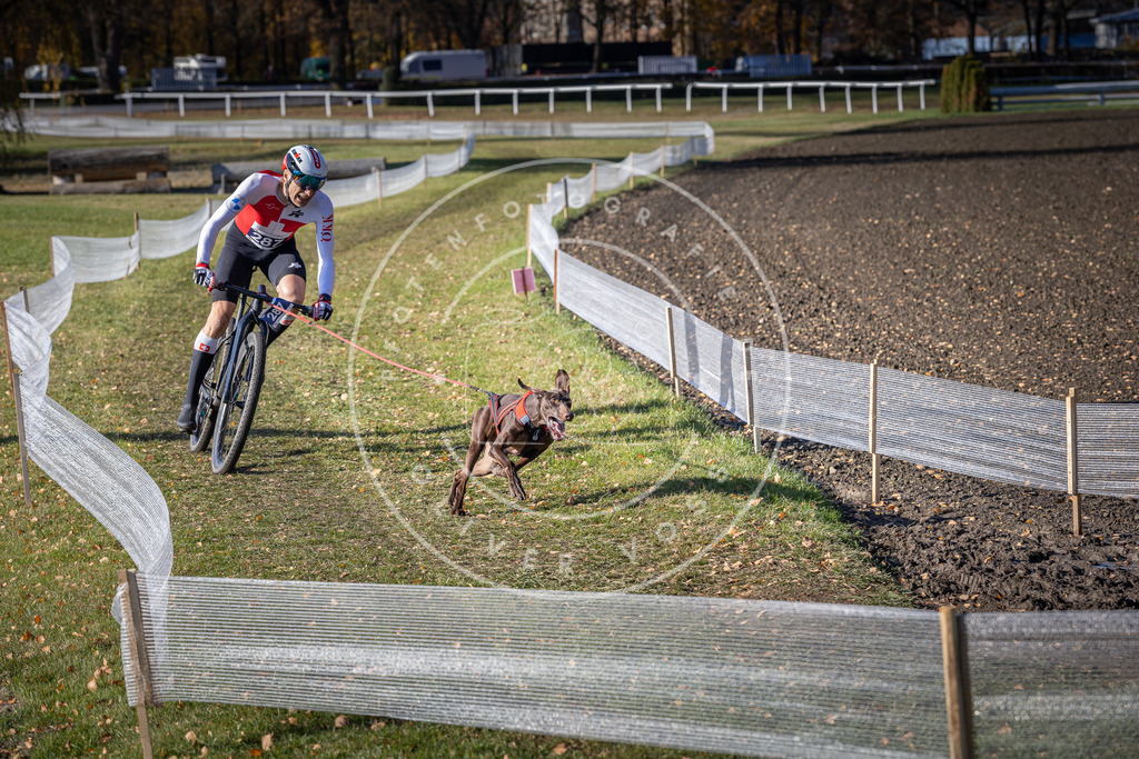 CaniXpix_DV3A5728 | Hundefotografie, Tierfotograf, Pfotenfotografie, Fotoshooting Hund, Hunde Portrait, Hundesport, Hundeportraits, Heideshooting, Hunde, Sportfotograf, Hundefotograf, Turnierhundsport, THS,  - Realisiert mit Pictrs.com
