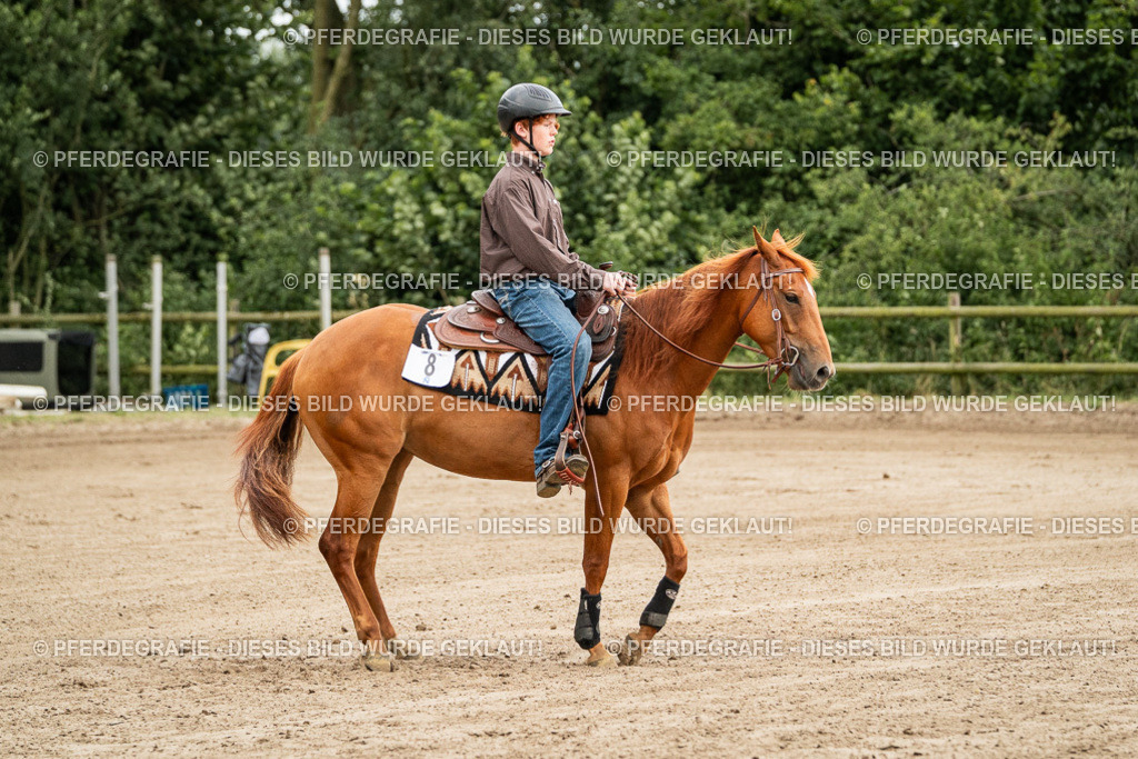 DSC04800 | Pferdegrafie