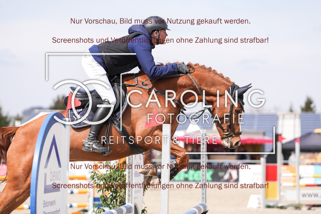 DSC05833 | Late_entry_Springturnier_Bad_Wurzach, Sven_Sieger, Viking_van_de_Heemstede