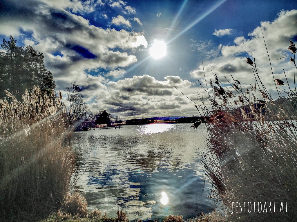 Morning at the pond | Künstler/in Member of AKM/austromechana. Troubadour. 2026 a fascinating journey began with Tatjana my AI muse✨ METISSIREN set sails and left the harbor ⛵