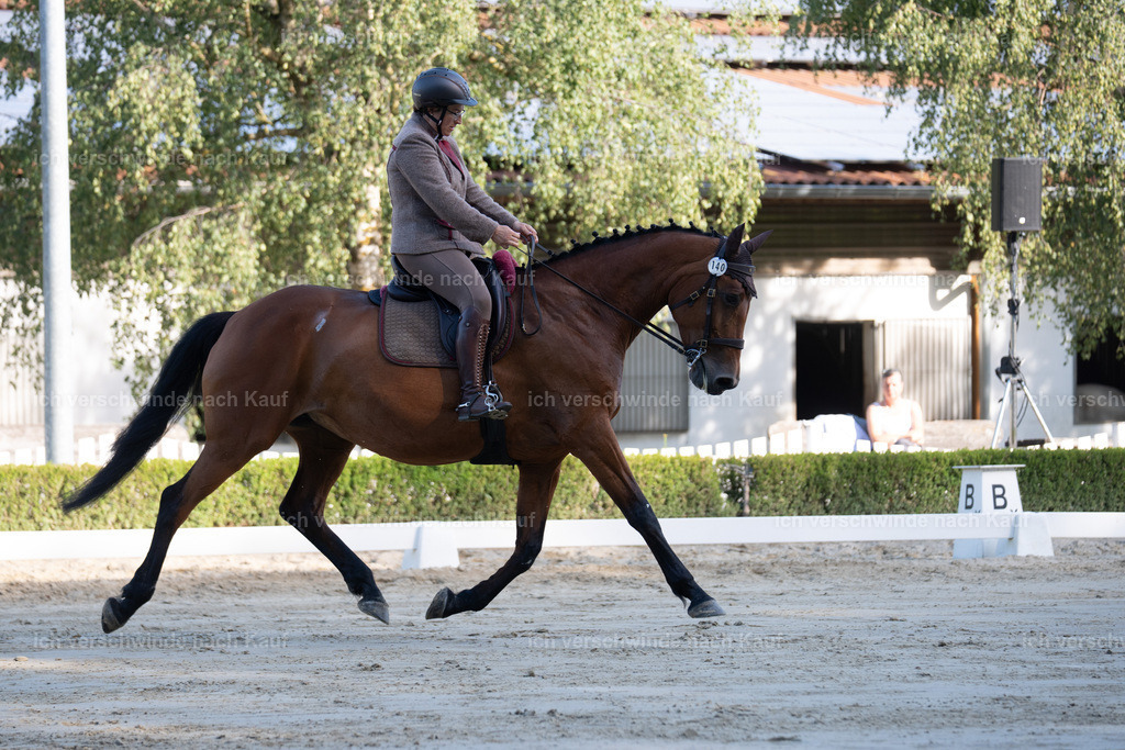 WL_DR_140_sinafilmart_IN05767 | working equitationturnier fotograf videograf stoibphotography marixx film working equitation deutschland reitsport turnierfotografie eventfotografie equestrian events
