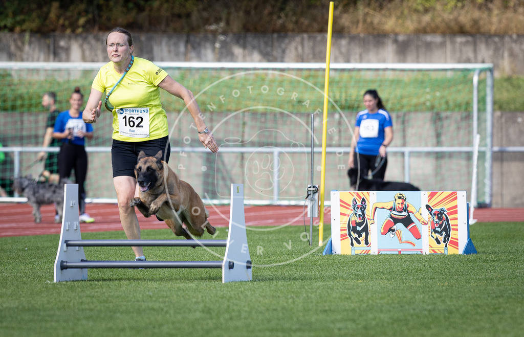 Pfotenfotografie_DV3A9655 | Hundefotografie, Tierfotograf, Pfotenfotografie, Fotoshooting Hund, Hunde Portrait, Hundesport, Hundeportraits, Heideshooting, Hunde, Sportfotograf, Hundefotograf, Turnierhundsport, THS,  - Realisiert mit Pictrs.com